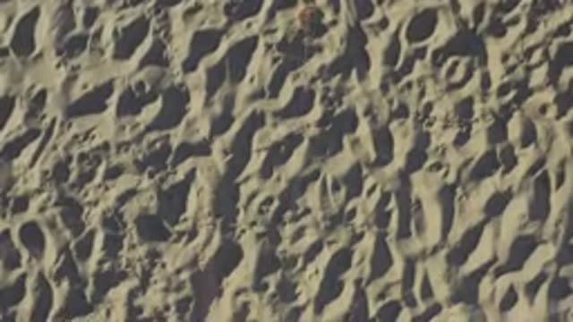 EAST CAPE BCS MEXICO-2019: The Sun Shines On The White Sand Of The Beach