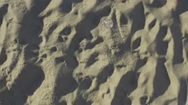 EAST CAPE BCS MEXICO-2019: Children's Games At The Beach On A Sunny Day During