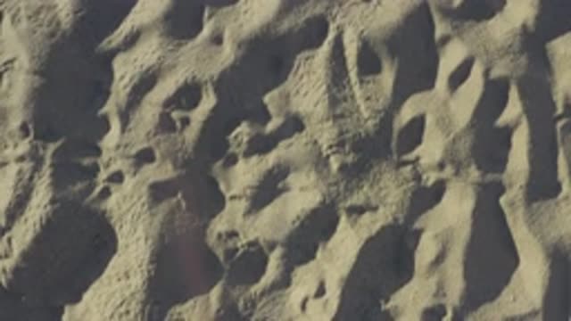 EAST CAPE BCS MEXICO-2019: Sand Background With A Waffled View Ending With A