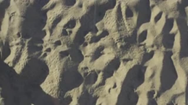 EAST CAPE BCS MEXICO-2019: A Person Is Making Footprints On The Sand On A Sunny