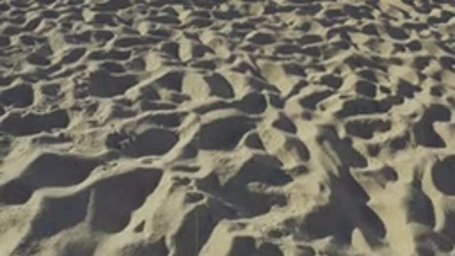 EAST CAPE BCS MEXICO-2019: Sunshine Seashore And Calming Waves