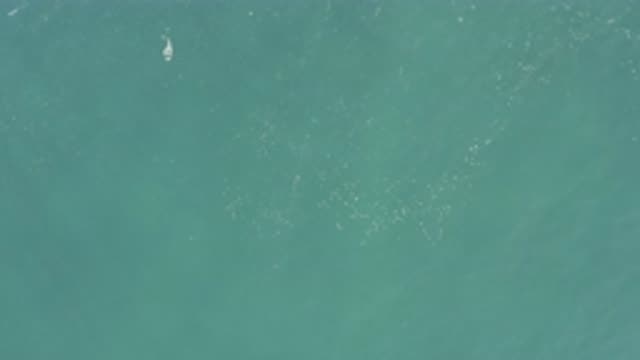 EAST CAPE BCS MEXICO-2019: Deep Waters Of The Blue Ocean With Few Waves And Some