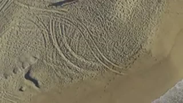 EAST CAPE BCS MEXICO-2019: Spinning Around In The Sand By The Water View From
