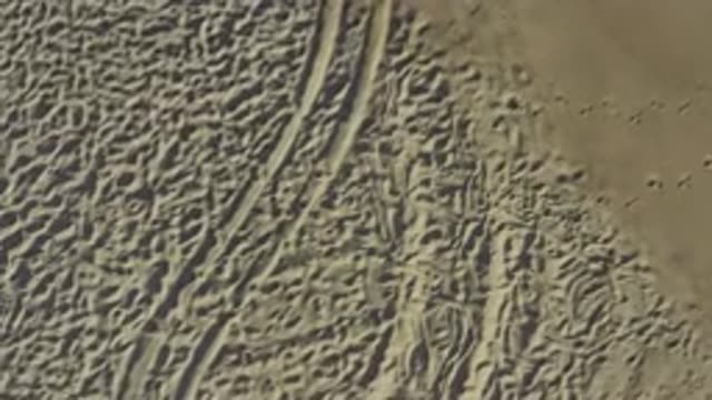 EAST CAPE BCS MEXICO-2019: Vehicle Tracks In Sand Along The Ocean