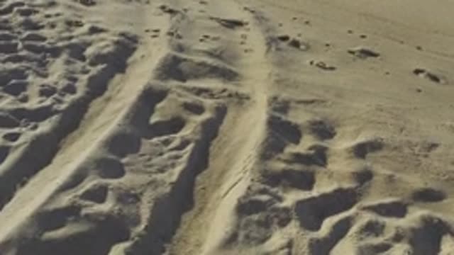 EAST CAPE BCS MEXICO-2019: View Of Footprints In Tan Sandy Beach And Blue Ocean