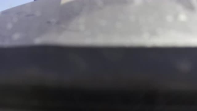 EAST CAPE BCS MEXICO-2019: A Blurry Zoomed In Image On The Camera Of Something