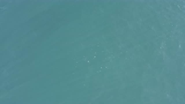 EAST CAPE BCS MEXICO-2019: The Sun Light and the Wind Reflected on the Sea