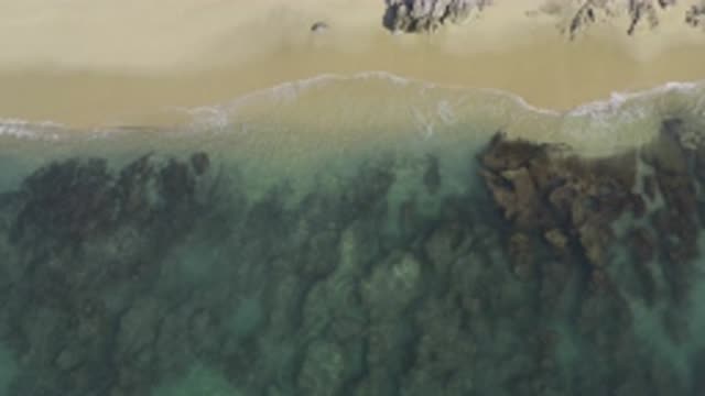 EAST CAPE BCS MEXICO-2019: Crystal Clear Sea On Sandy Beach Deserted And Very