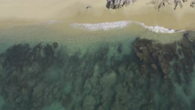 EAST CAPE BCS MEXICO-2019: Beach With Transparent Water And Full Of Rocks Filmed