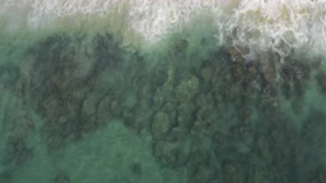 EAST CAPE BCS MEXICO-2019: The Amazing Green Ocean in Mexico