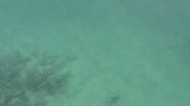 Aerial View Of Shallow Turquoise Ocean Water