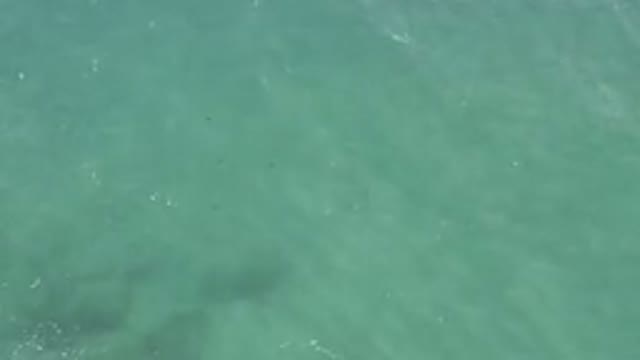 Aerial View of Turquoise Ocean Water Surface