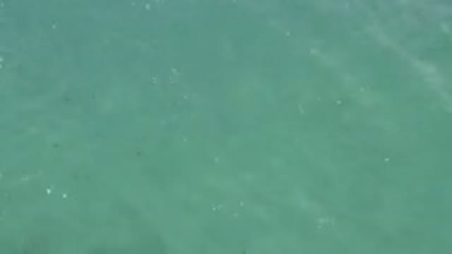 Aerial View Of Turquoise Ocean Water Surface