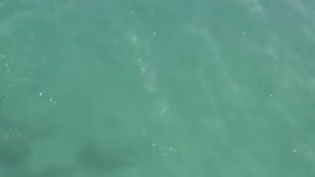 Aerial View Of Turquoise Water Surface