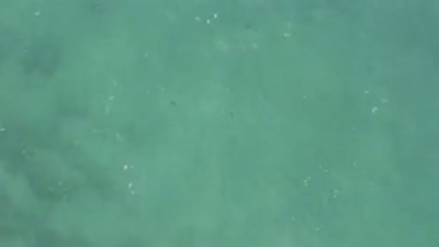 Aerial View Of Turquoise Sea Surface