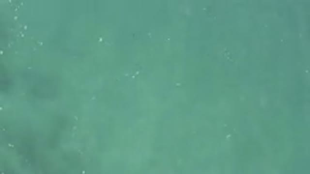Aerial View Of Turquoise Sea Surface