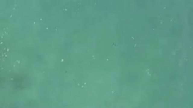 Aerial View Of Turquoise Water With Sun Glitter