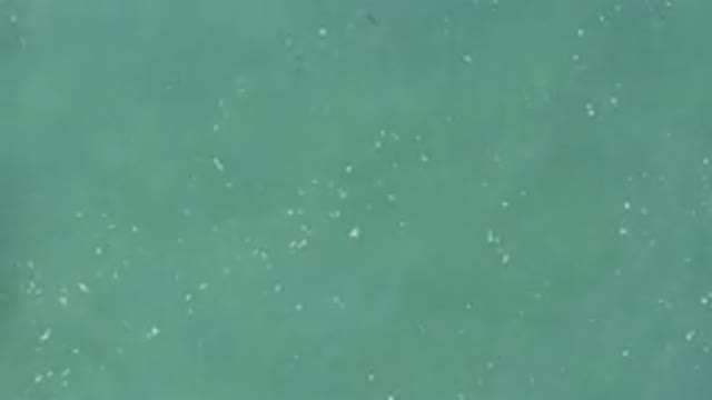 Aerial View Of Turquoise Water Surface With White Foam