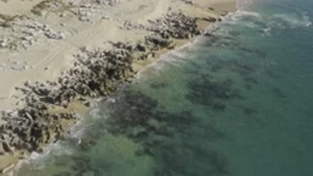 EAST CAPE BCS MEXICO-2019: The Calm And Clear Water Of The Sea Embracing The Sandy Shore
