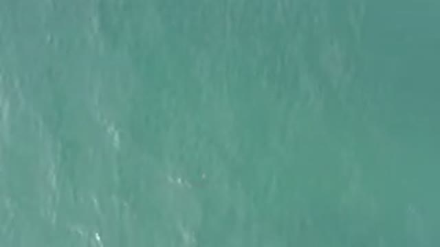 Aerial View Of Turquoise Ocean Surface