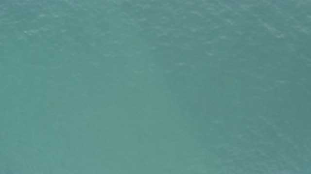 EAST CAPE BCS MEXICO-2019: Up Top Video Of The Ocean Trying To Catch Swimming Fish