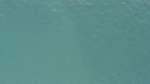 EAST CAPE BCS MEXICO-2019: Close Up Video Of Green And Blue Colored Body Of Water