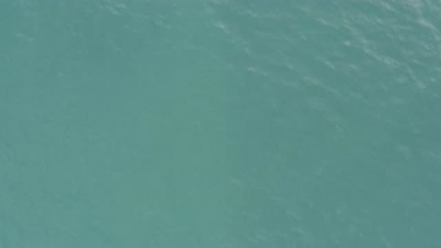 EAST CAPE BCS MEXICO-2019: A Film Shot Of The Clean Water Flow