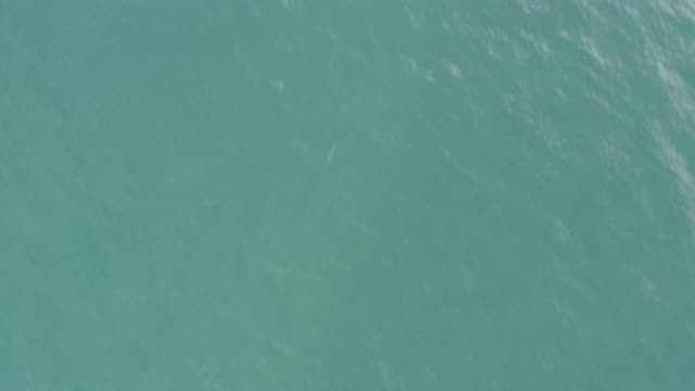 EAST CAPE BCS MEXICO-2019: Birds Eye View Of Water With Fish Ascending And
