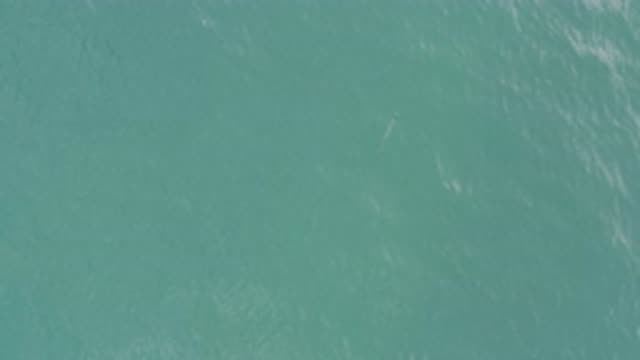 EAST CAPE BCS MEXICO-2019: View Of Blue-Green Ocean Water On A Clear Day