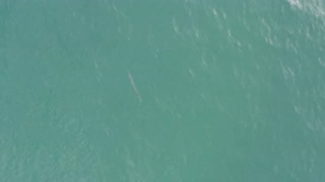 EAST CAPE BCS MEXICO-2019: The Crystal Clear Part Of An Ocean