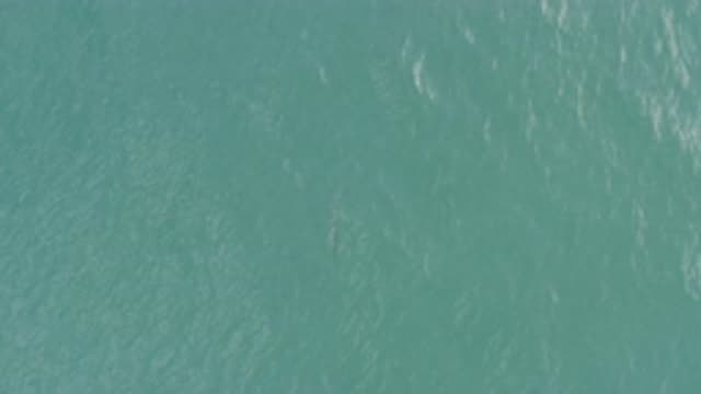 EAST CAPE BCS MEXICO-2019: Flow Above The Waves To Breath Peace In A Sunny Day