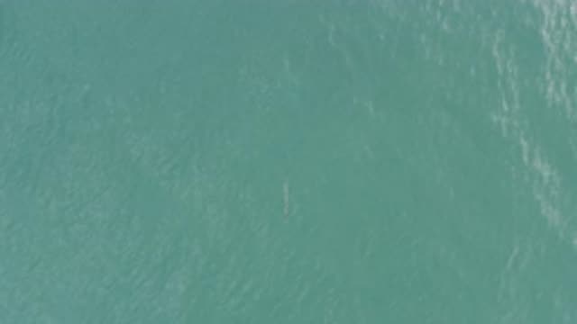 EAST CAPE BCS MEXICO-2019: A Cool Tropical Water Scene Where The Wind Blows