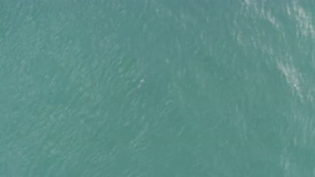 EAST CAPE BCS MEXICO-2019: It Is Possible To See The Sea Stir Slightly Due To