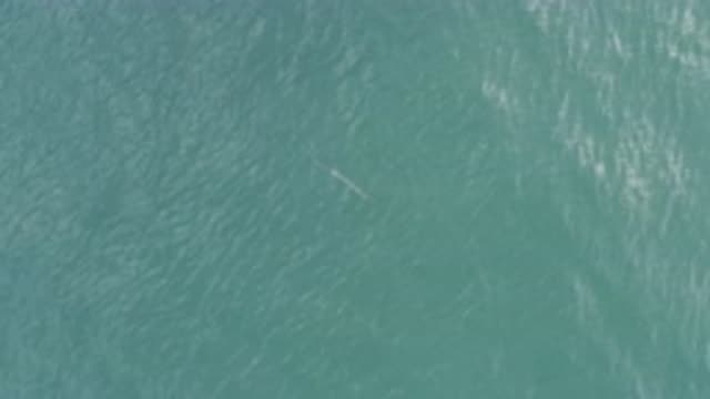EAST CAPE BCS MEXICO-2019: The Deepest Part Of An Ocean