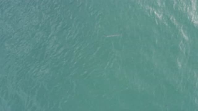 EAST CAPE BCS MEXICO-2019: Crystal Blue Sea In Motion Seen From Above During The