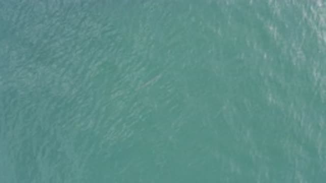 EAST CAPE BCS MEXICO-2019: Crystal Clear Blue Water With No People Around
