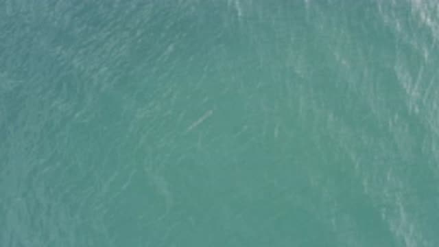EAST CAPE BCS MEXICO-2019: Green And Deep And Clear Ocean