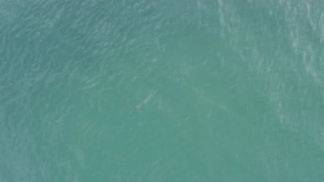 EAST CAPE BCS MEXICO-2019: View From High Above Body Of Water Shape Of Fish