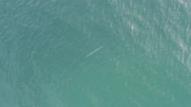 EAST CAPE BCS MEXICO-2019: Green And Deep Part Of An Ocean Not Recommended For