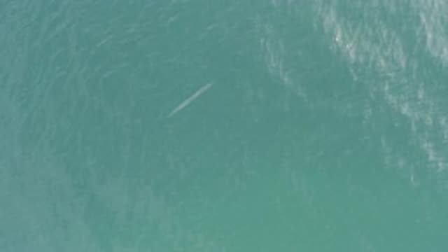 EAST CAPE BCS MEXICO-2019: Aerial View Into Water At A Non-Moving Object