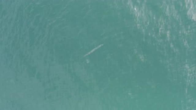 EAST CAPE BCS MEXICO-2019: An Object Found In The Ocean Alone Floating For A