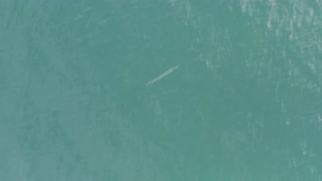 EAST CAPE BCS MEXICO-2019: Static Tropical Waters Moving Without Any Form Of