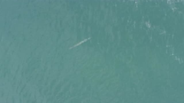 EAST CAPE BCS MEXICO-2019: A USO Otherwise Known As An Unidentified Submerged Object