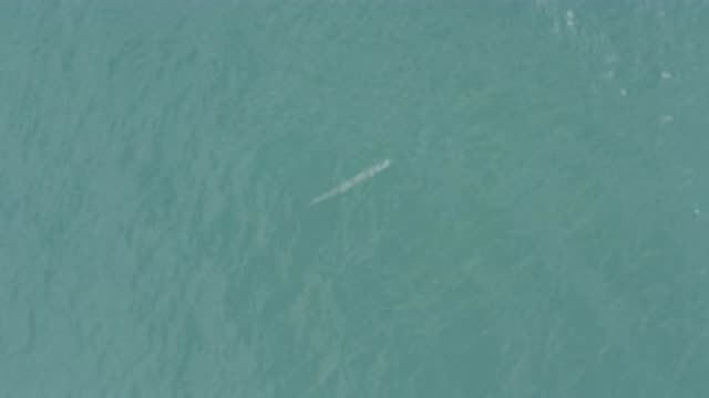 EAST CAPE BCS MEXICO-2019: Aerial Video Of Ocean Showing Some Sort Of Animal At