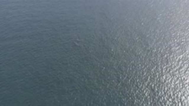 EAST CAPE BCS MEXICO-2019: Deepest Part Of An Ocean in East Cape