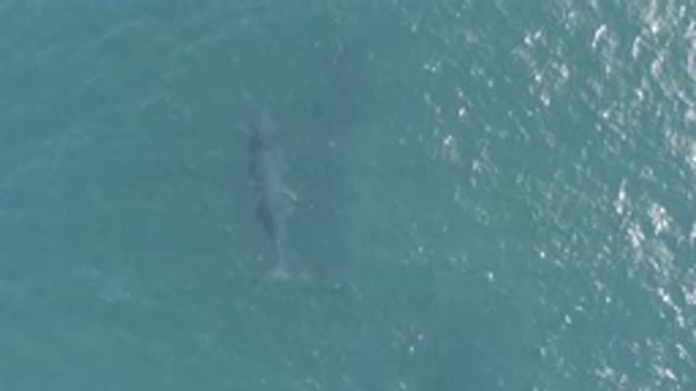 EAST CAPE BCS MEXICO-2019: View From High Above Body Of Water Gray Shape Under