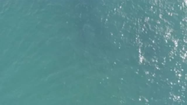 EAST CAPE BCS MEXICO-2019: The Sea Is For Everyone Brings Peace Tranquility
