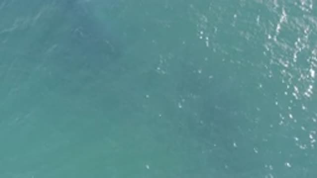 EAST CAPE BCS MEXICO-2019: Blue Green Wavy Ocean In A Sunny Day
