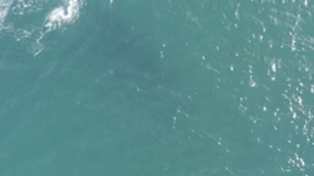 EAST CAPE BCS MEXICO-2019: A Recording Of A Clear Sea In The Middle Of The Ocean
