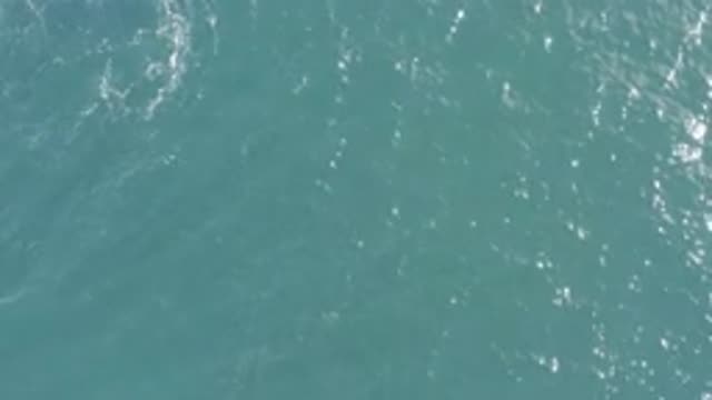 EAST CAPE BCS MEXICO-2019: Wonderful Sea Of The Moving Water Project To Gather